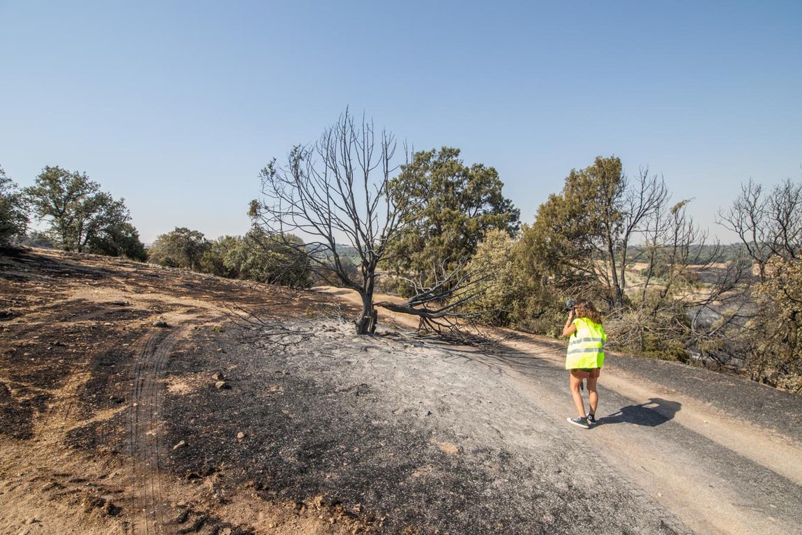 Los efectos del incendio de Montesión,en imágenes