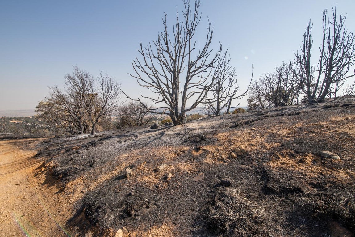 Los efectos del incendio de Montesión,en imágenes