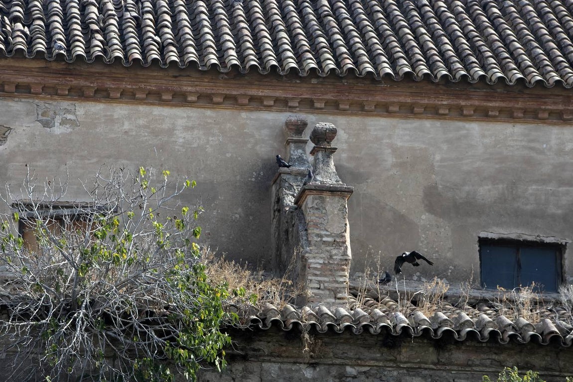 La Iglesia de Campo Madre de Dios, en imágenes