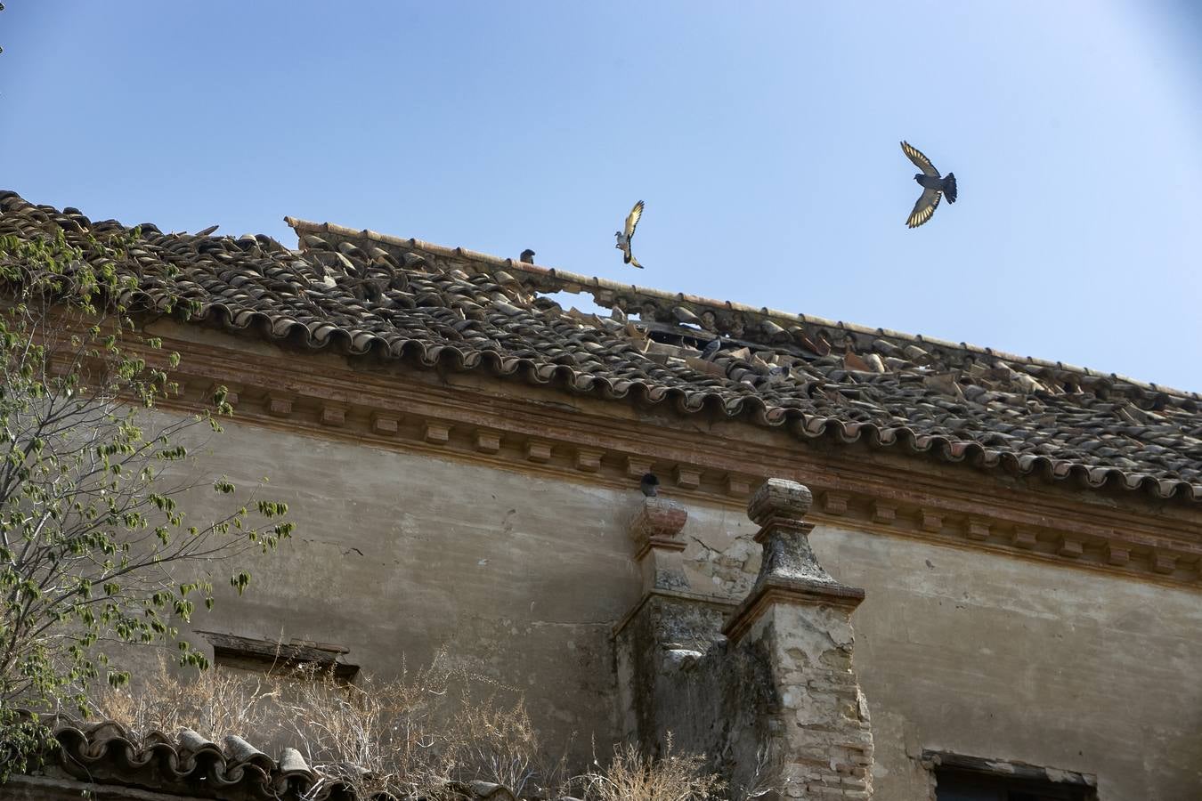 La Iglesia de Campo Madre de Dios, en imágenes