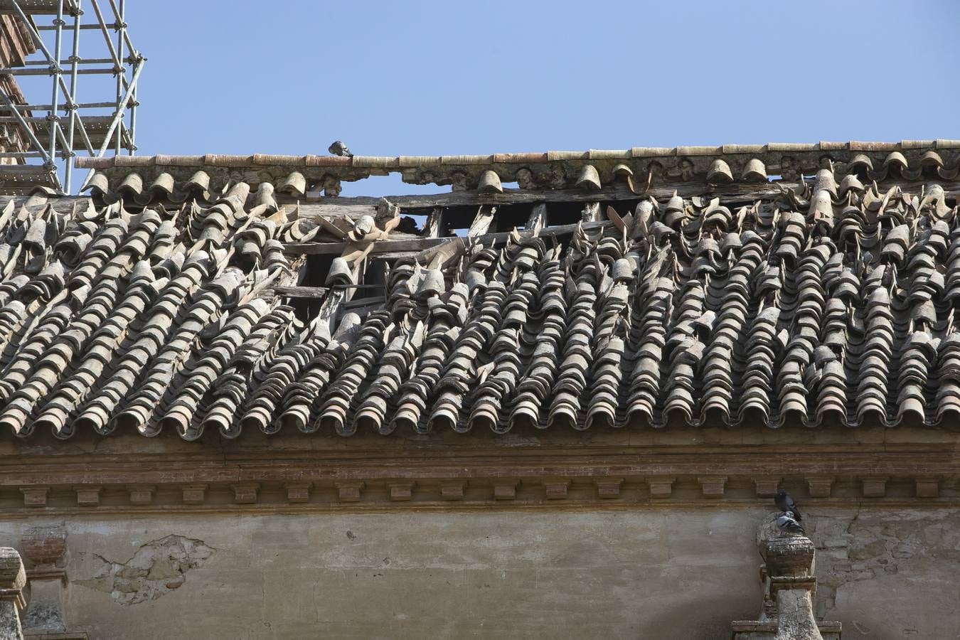 La Iglesia de Campo Madre de Dios, en imágenes