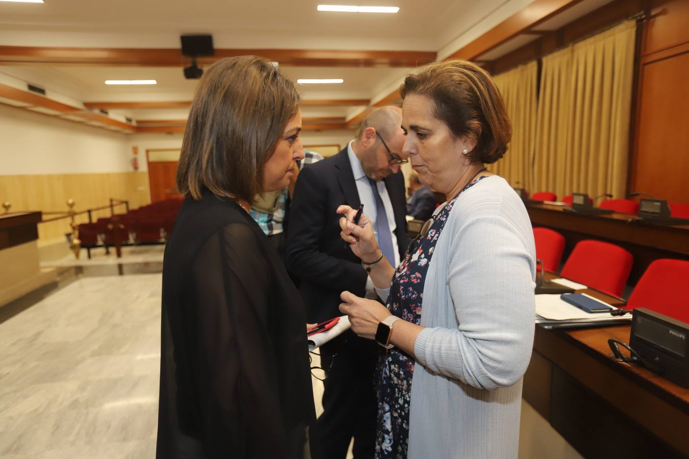 El pleno del Ayuntamiento en Córdoba, en imágenes