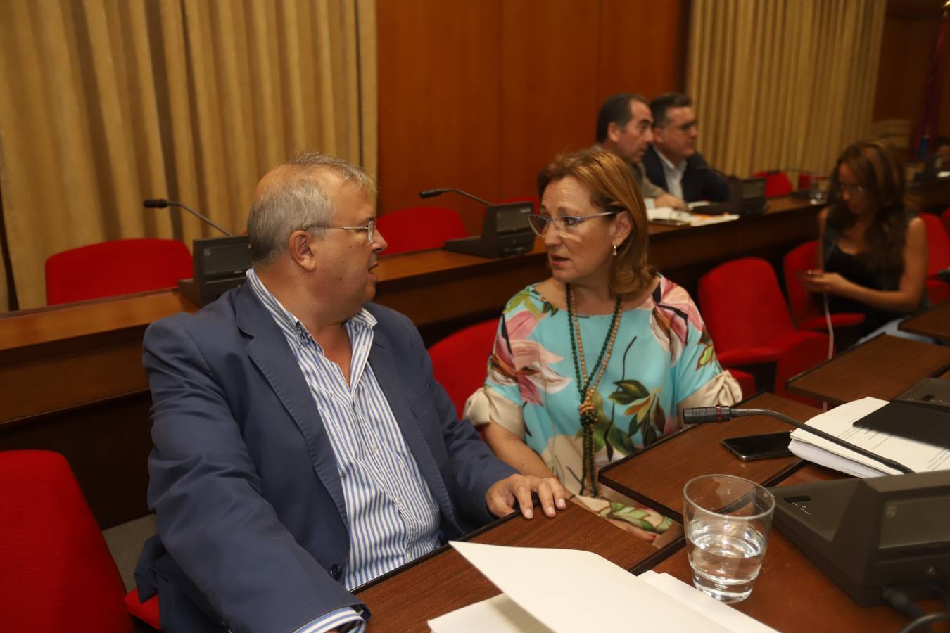 El pleno del Ayuntamiento en Córdoba, en imágenes