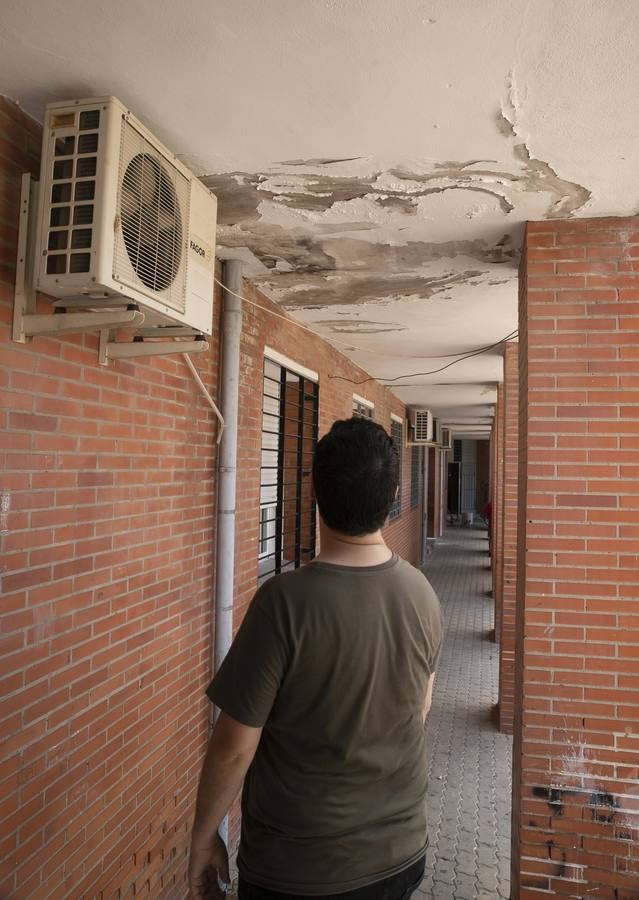 Un día en el barrio cordobés de Las Moreras, en imágenes