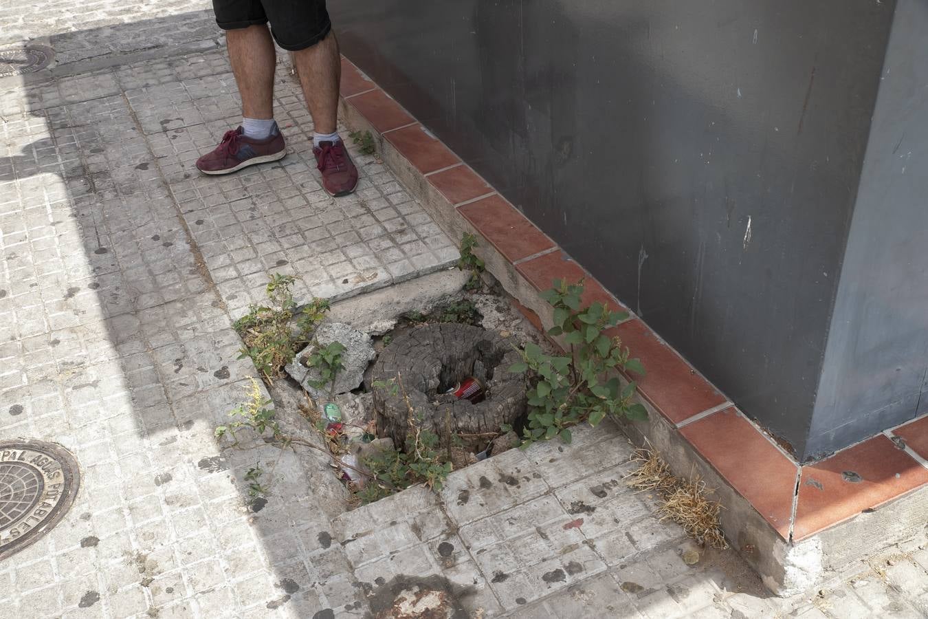 Un día en el barrio cordobés de Las Moreras, en imágenes