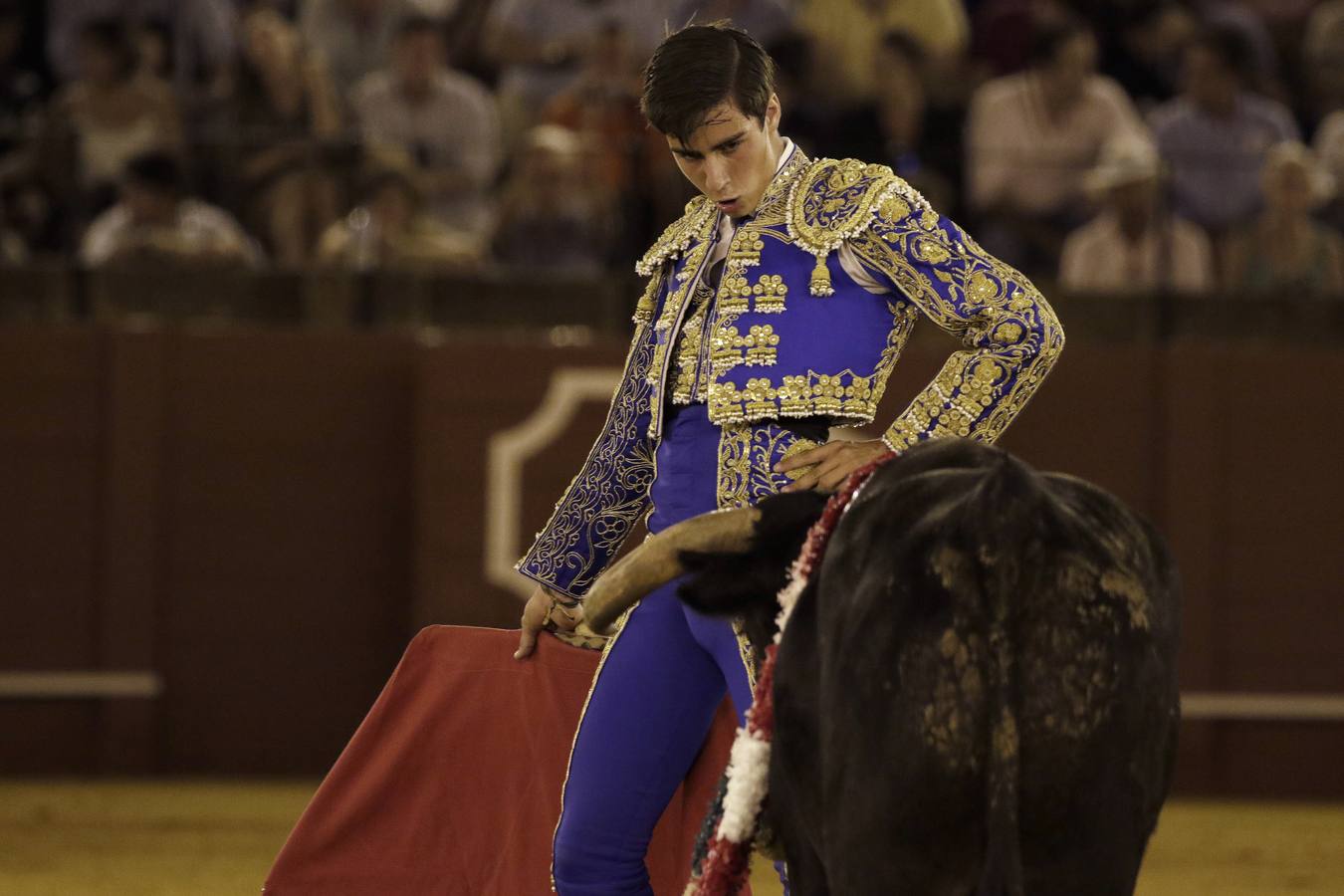 En imágenes, novillada de promoción en la Maestranza de Sevilla