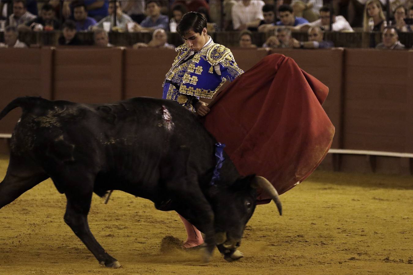 En imágenes, novillada de promoción en la Maestranza de Sevilla