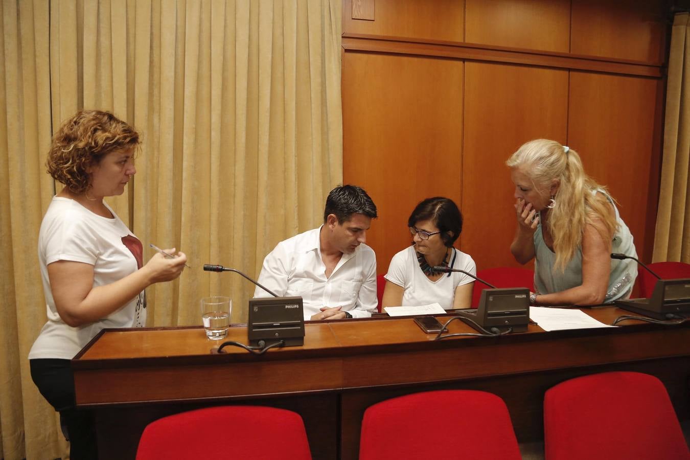 El Pleno del Ayuntamiento de Córdoba, en imágenes