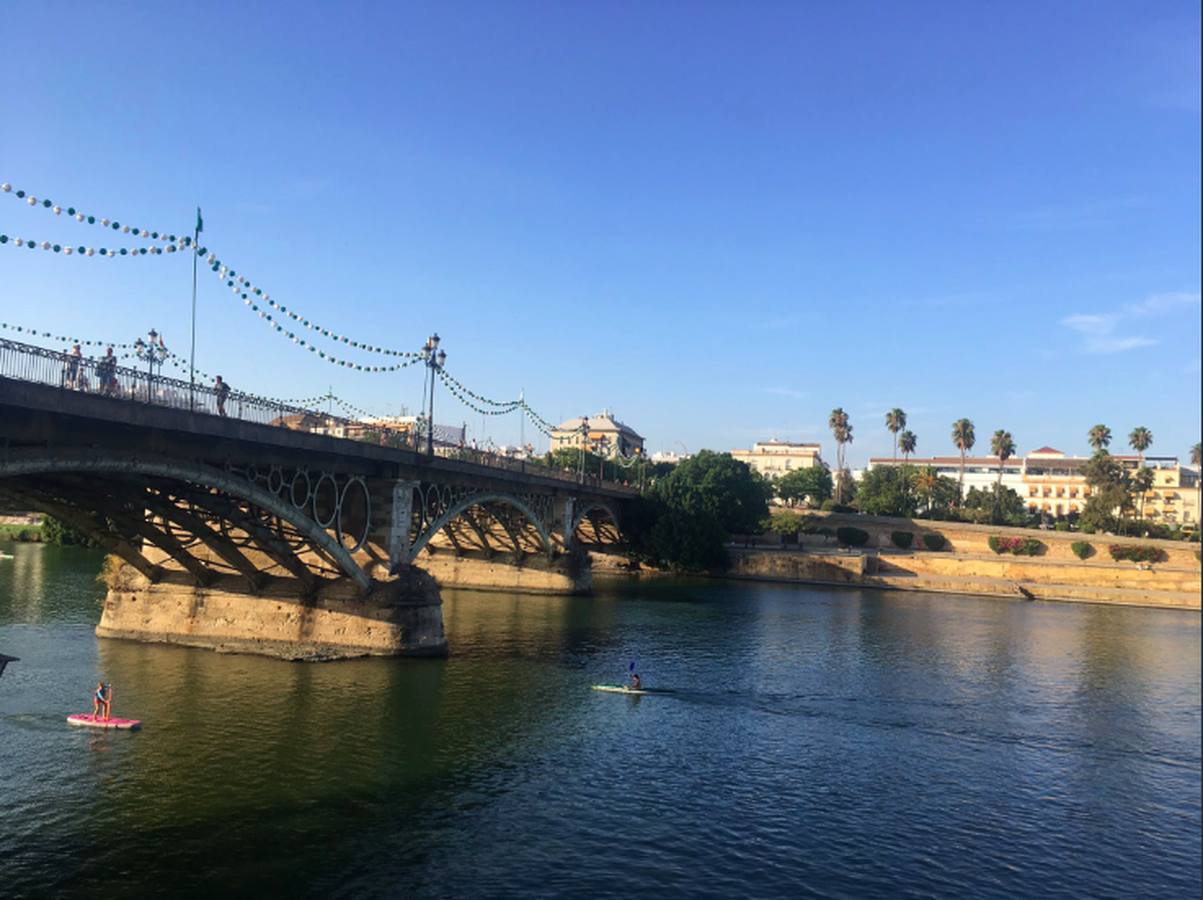 #VeláTrianaABC: todas las fotos de los lectores en la Velá de Santa Ana