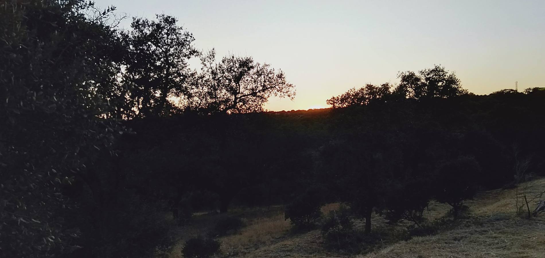 En imágenes: Los mejores atardeceres de este verano