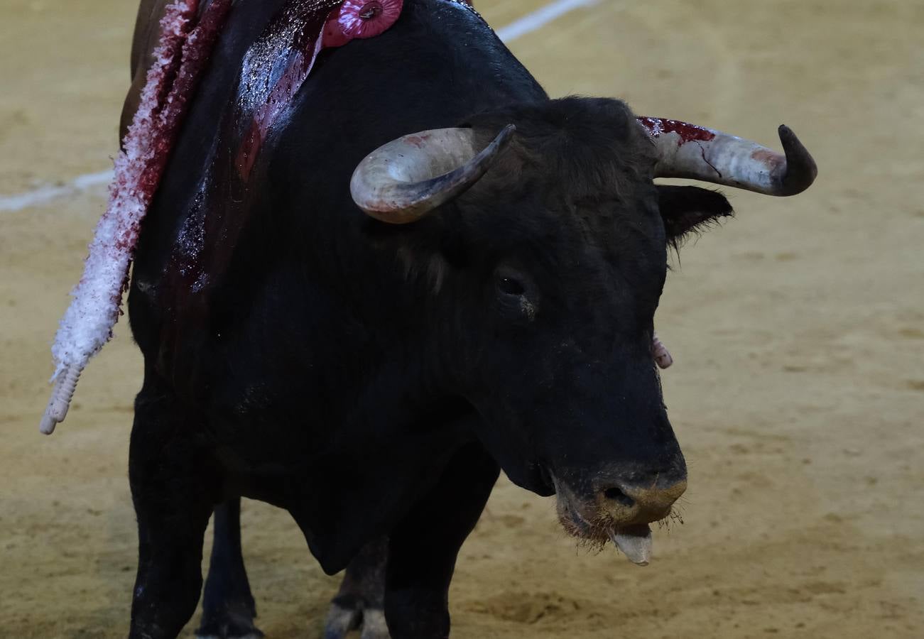 Ponce, Manzanares y Morante en la plaza de toros de El Puerto