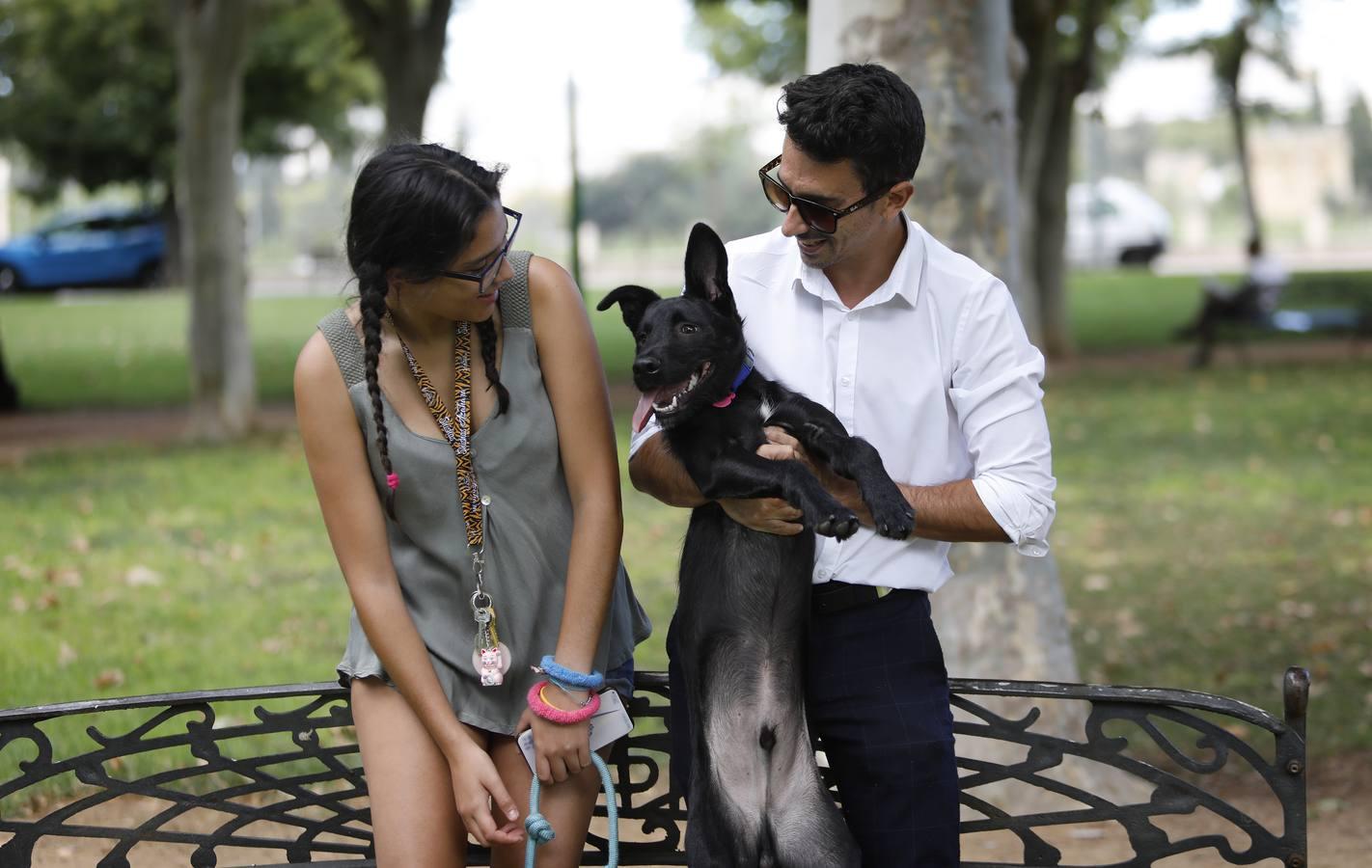 Las mascotas de Córdoba, en imágenes