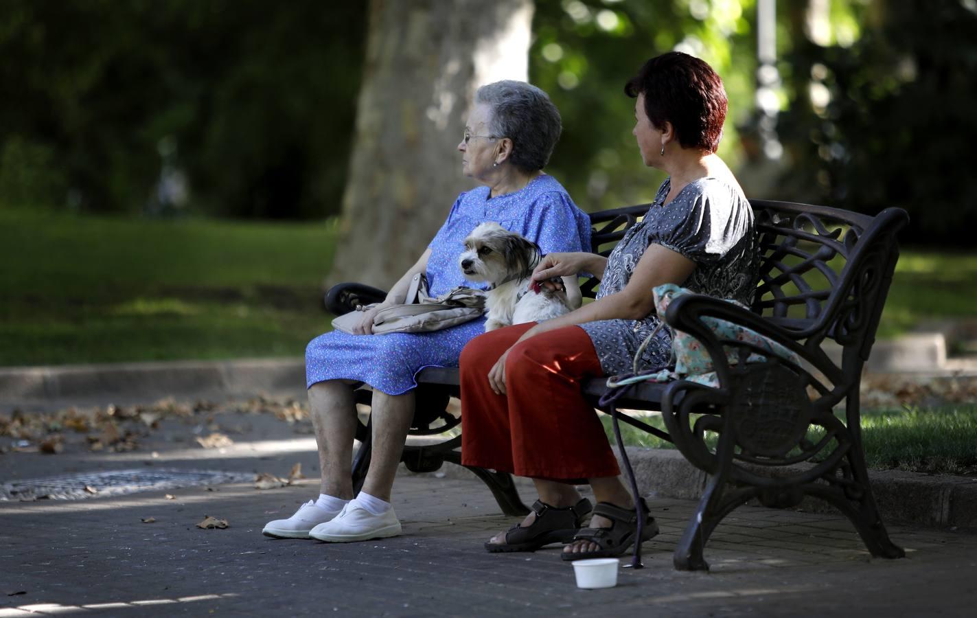 Las mascotas de Córdoba, en imágenes