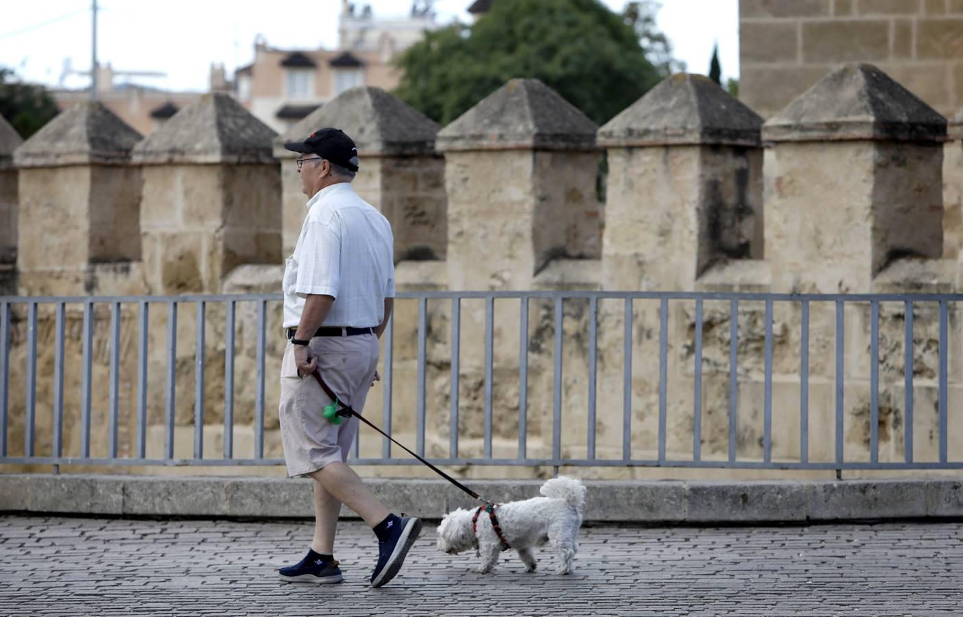 Las mascotas de Córdoba, en imágenes