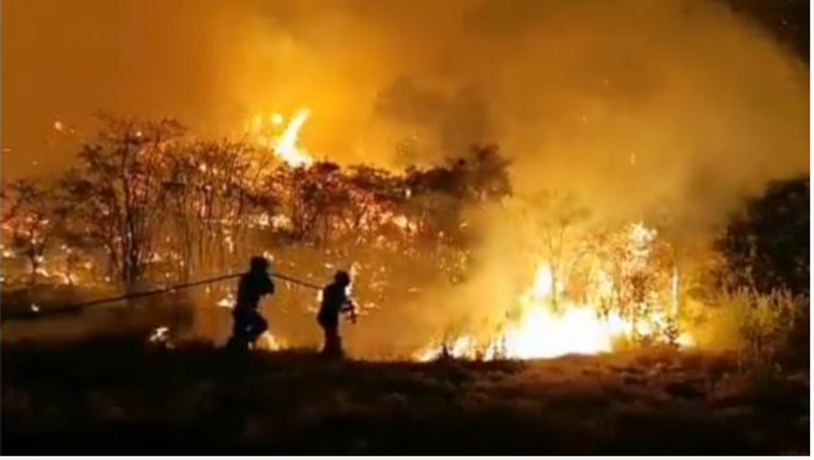 Efectivos de la UME este domingo en Canarias. La UME, el Ejército de Tierra, el Ejército del Aire, la Guardia Civil y cuerpos canarios de seguridad y emergencias luchan contra las llamas en una guerra contrarreloj