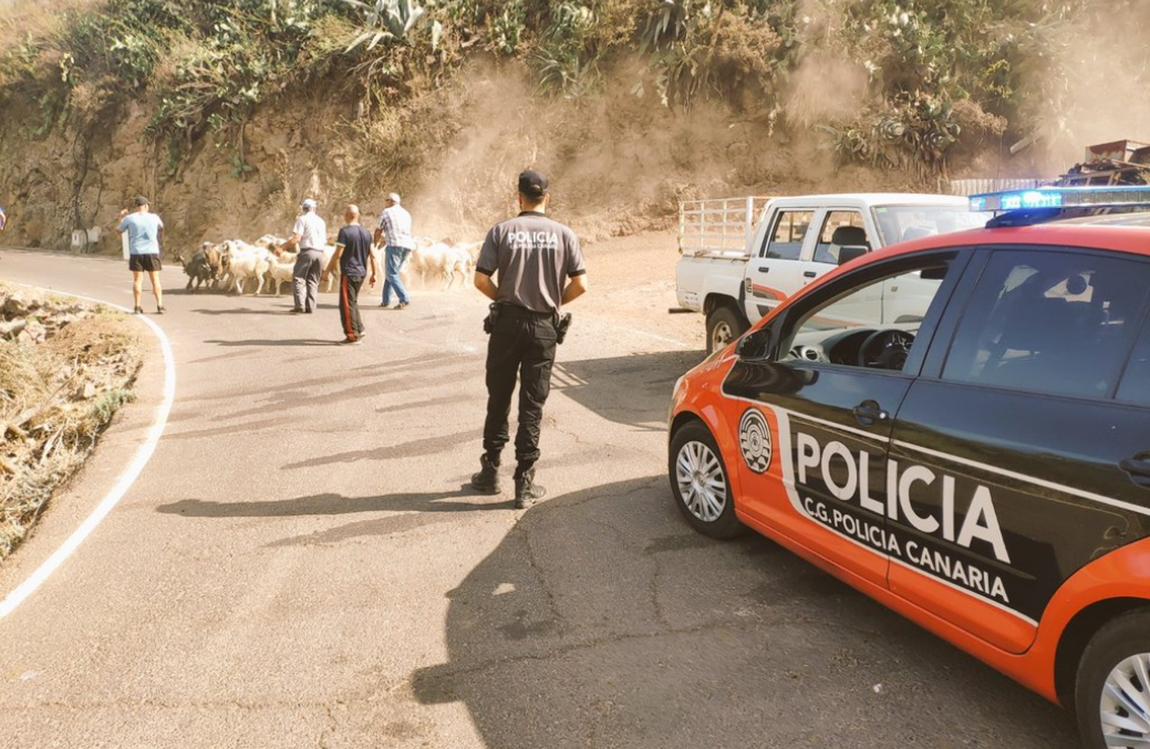 La Policía desalojando la zona y protegiendo a los animales. 
