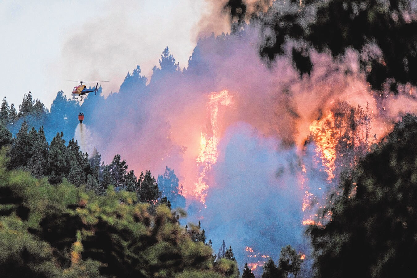 El fuego voraz amenaza el gran pulmón verde de la isla. 