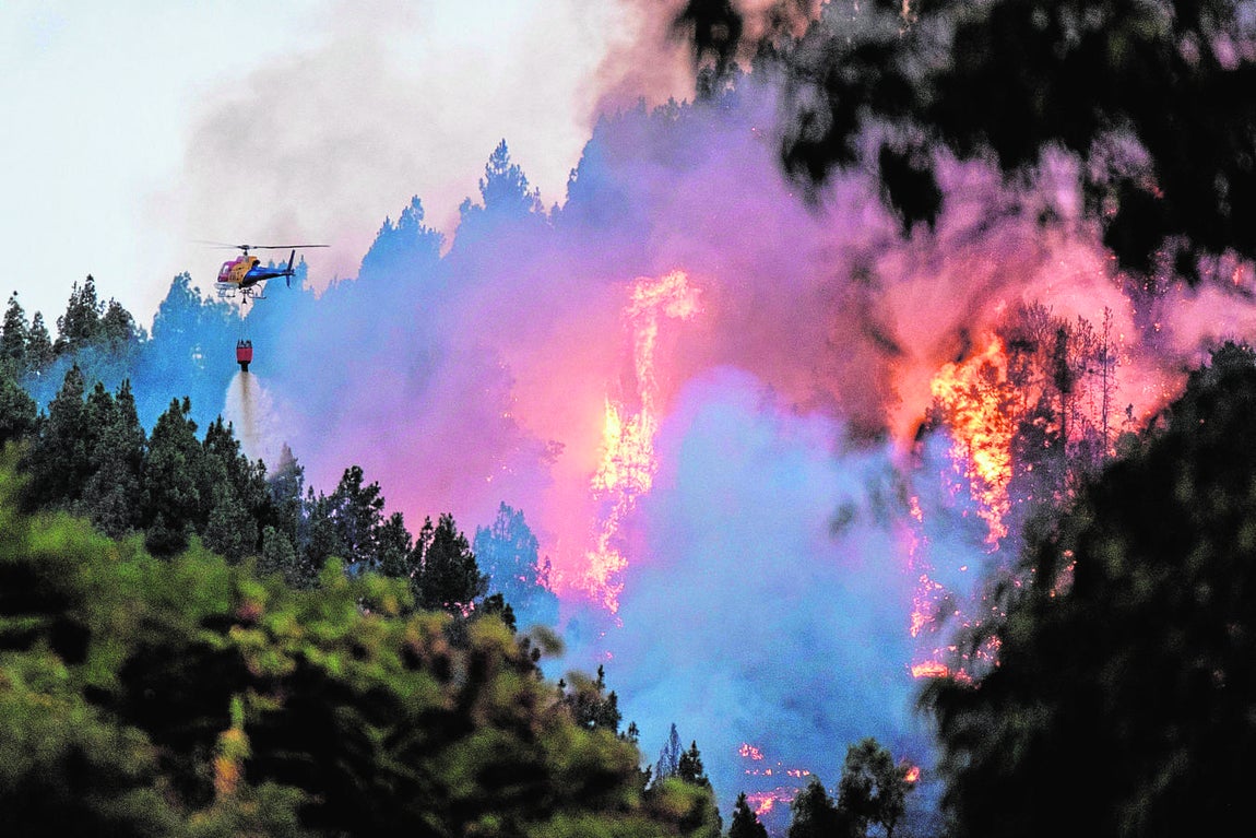 El fuego voraz amenaza el gran pulmón verde de la isla. 