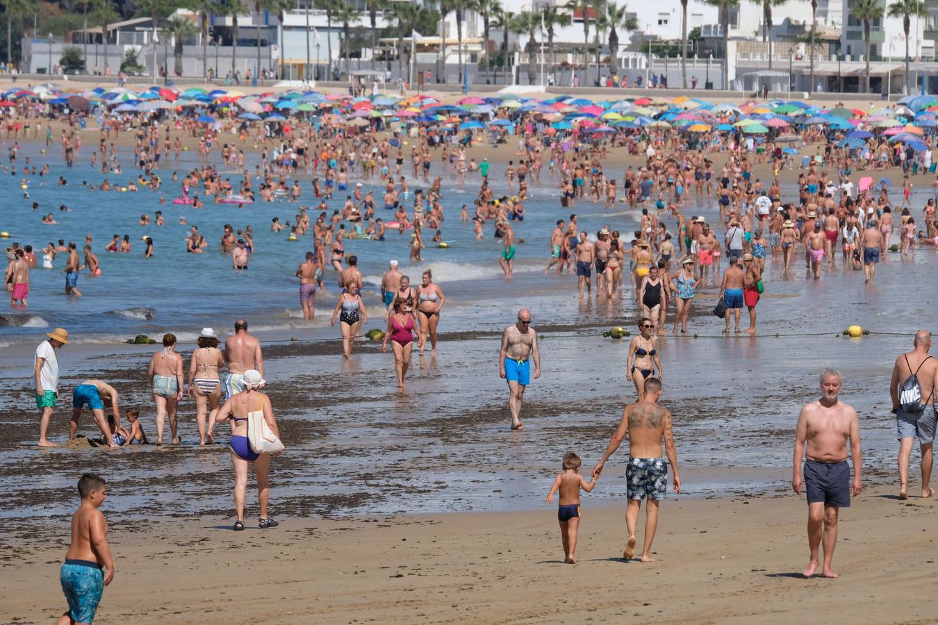 La Costilla, una excelente playa urbana en Rota