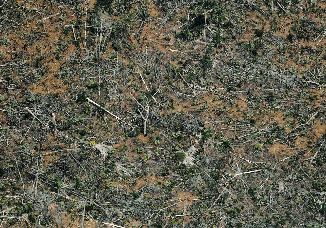 Imagen aérea que muestra un terreno deforestado en la Selva del Amazonas cerca de un área afectada por incendios, a unos 65 km de Porto Velho, Brasil. 