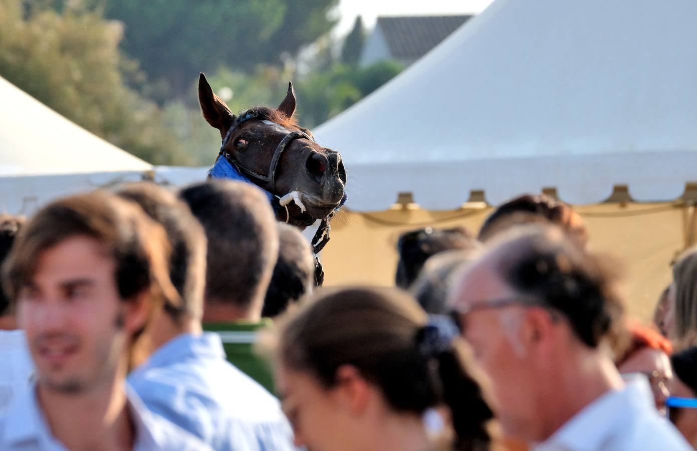 FOTOS: Segundo ciclo de las carreras de caballos de Sanlúcar