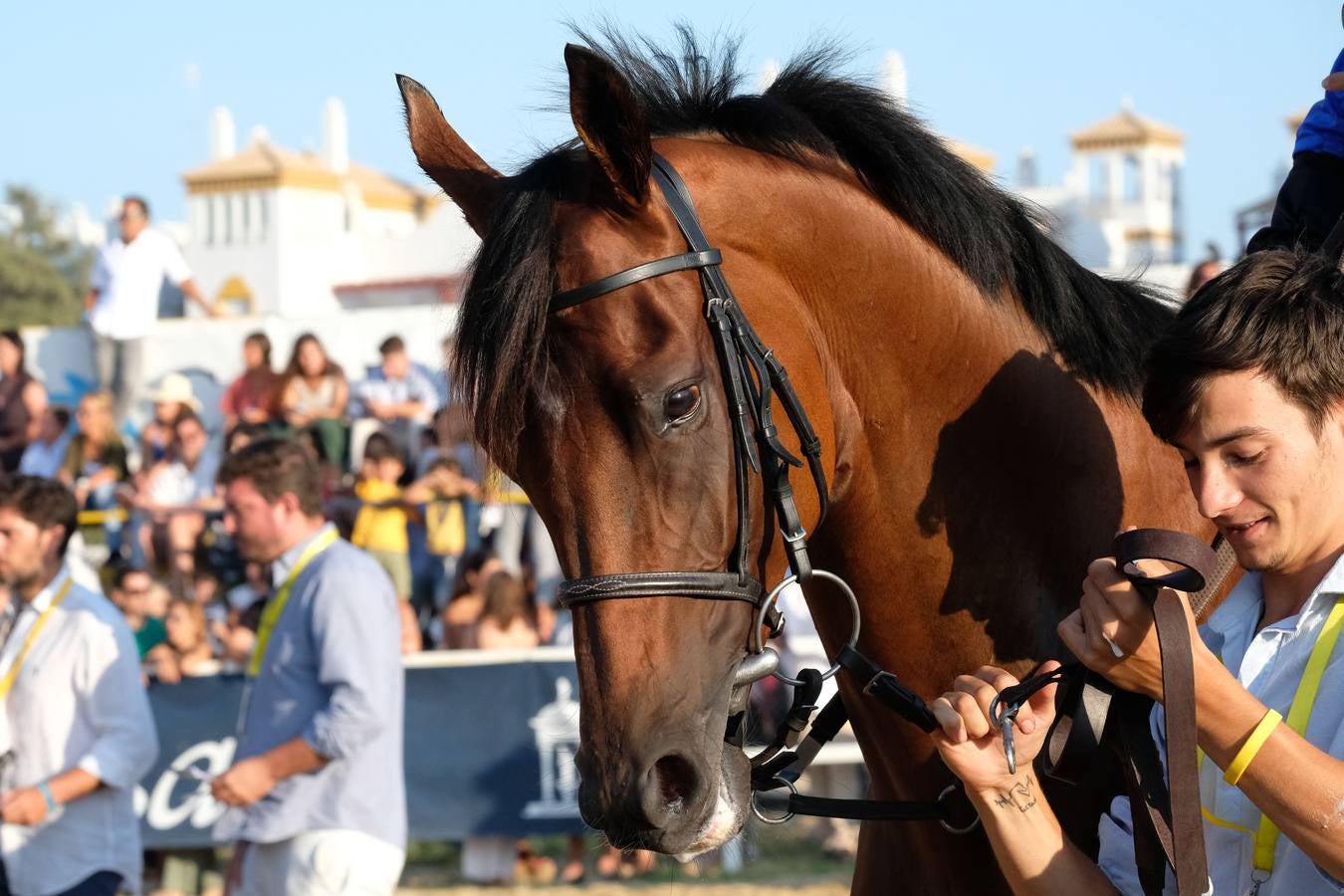 FOTOS: Gran Premio Ciudad de Sanlúcar