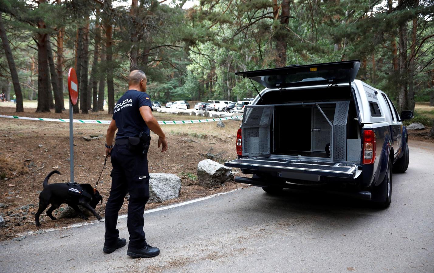 Se ha hallado el coche de Blanca Fernández Ochoa esta mañana en un paraje entre Cercedilla y el Valle de la Fuenfría, en la Sierra de Madrid. 