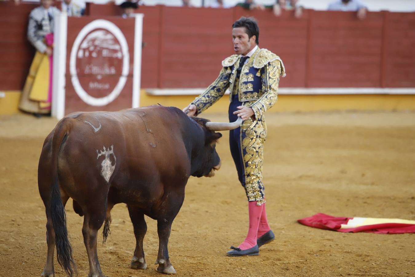 La corrida de toros en Priego de Córdoba, en imágenes