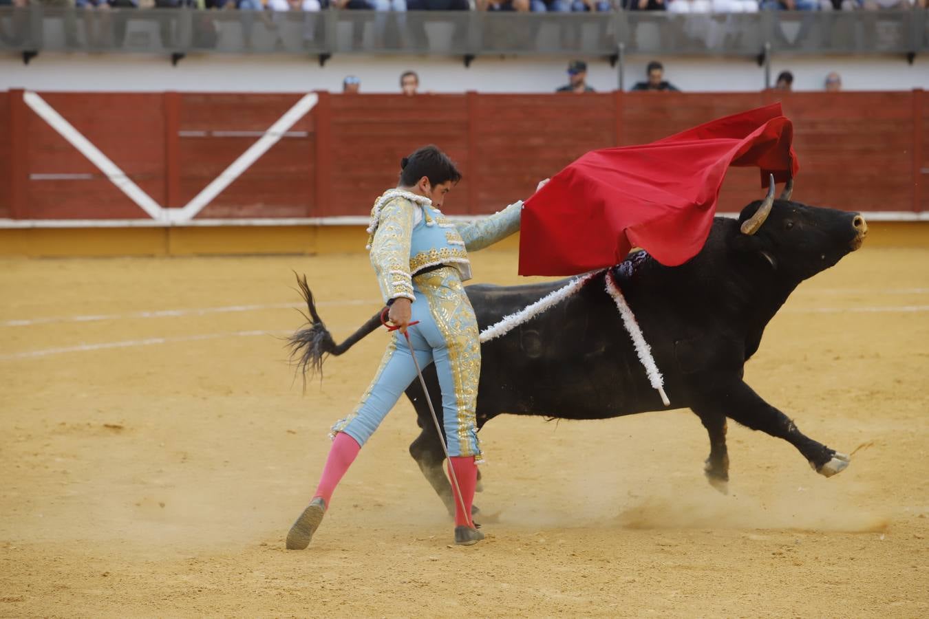 La corrida de toros en Priego de Córdoba, en imágenes