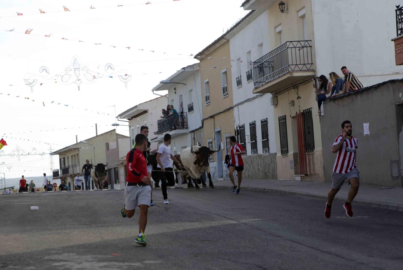 Comienzan los tradicionales encierros de Villaseca