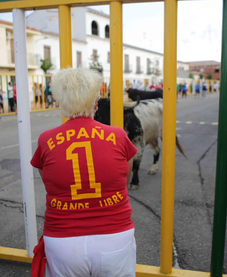 Comienzan los tradicionales encierros de Villaseca