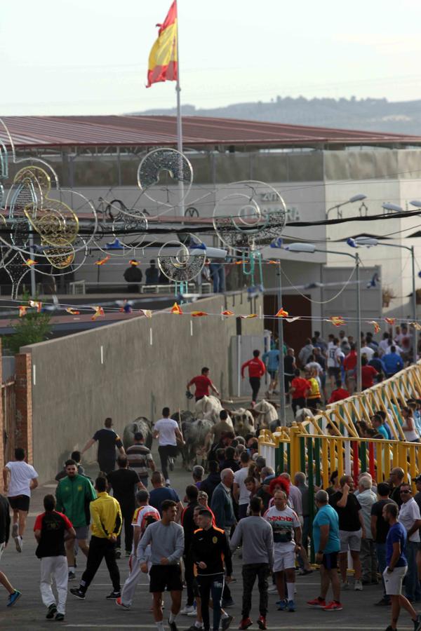 Comienzan los tradicionales encierros de Villaseca