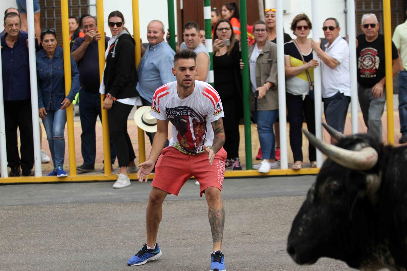 Comienzan los tradicionales encierros de Villaseca