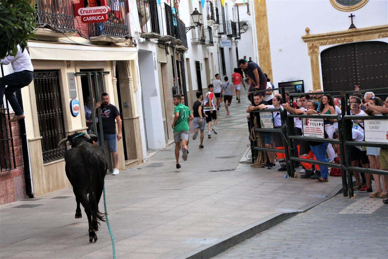 El toro de cuerda de Carcabuey, en imágenes