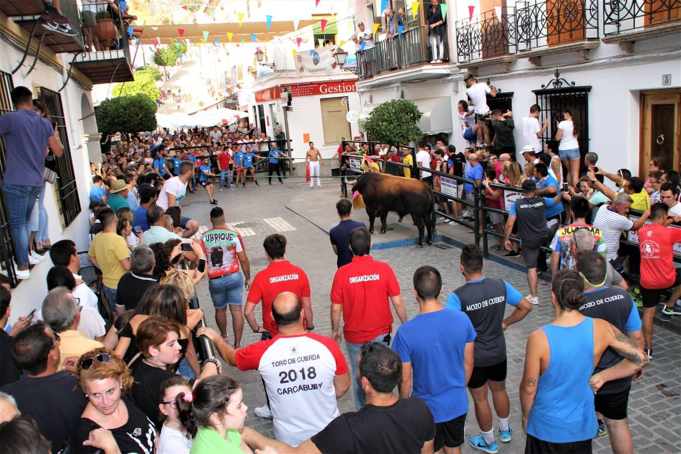 El toro de cuerda de Carcabuey, en imágenes