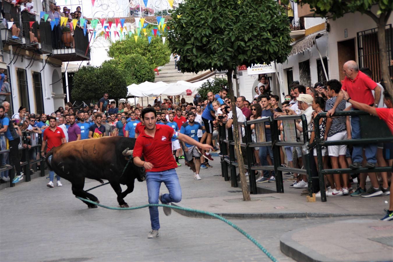 El toro de cuerda de Carcabuey, en imágenes