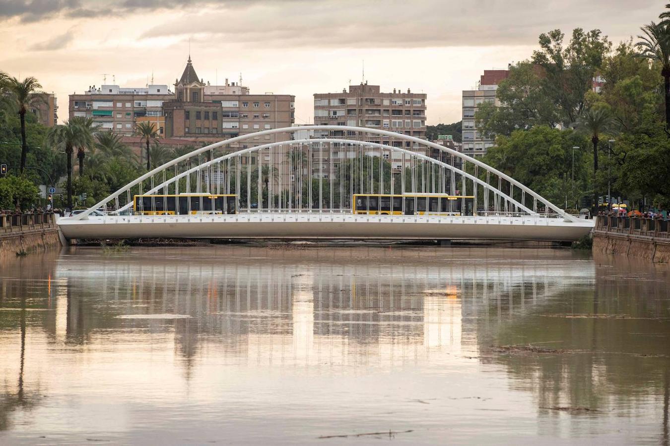 El cauce del rio Segura a su paso por la ciudad de Murcia este viernes por la mañana tras las intensas lluvias caídas durante la madrugada.. 