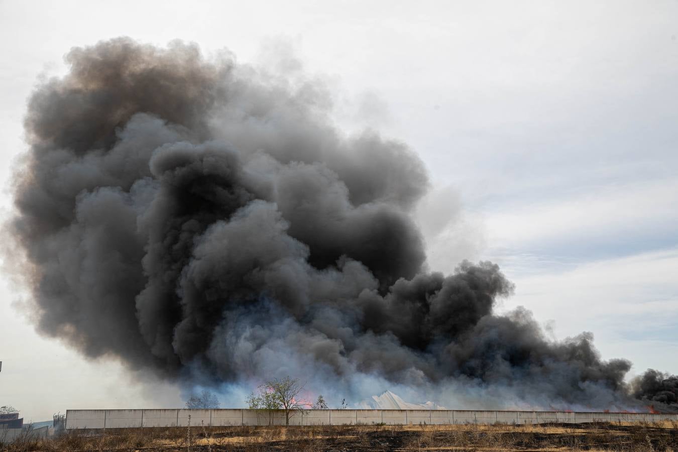 En imágenes, el incendio del patio de una nave industrial en Dos Hermanas