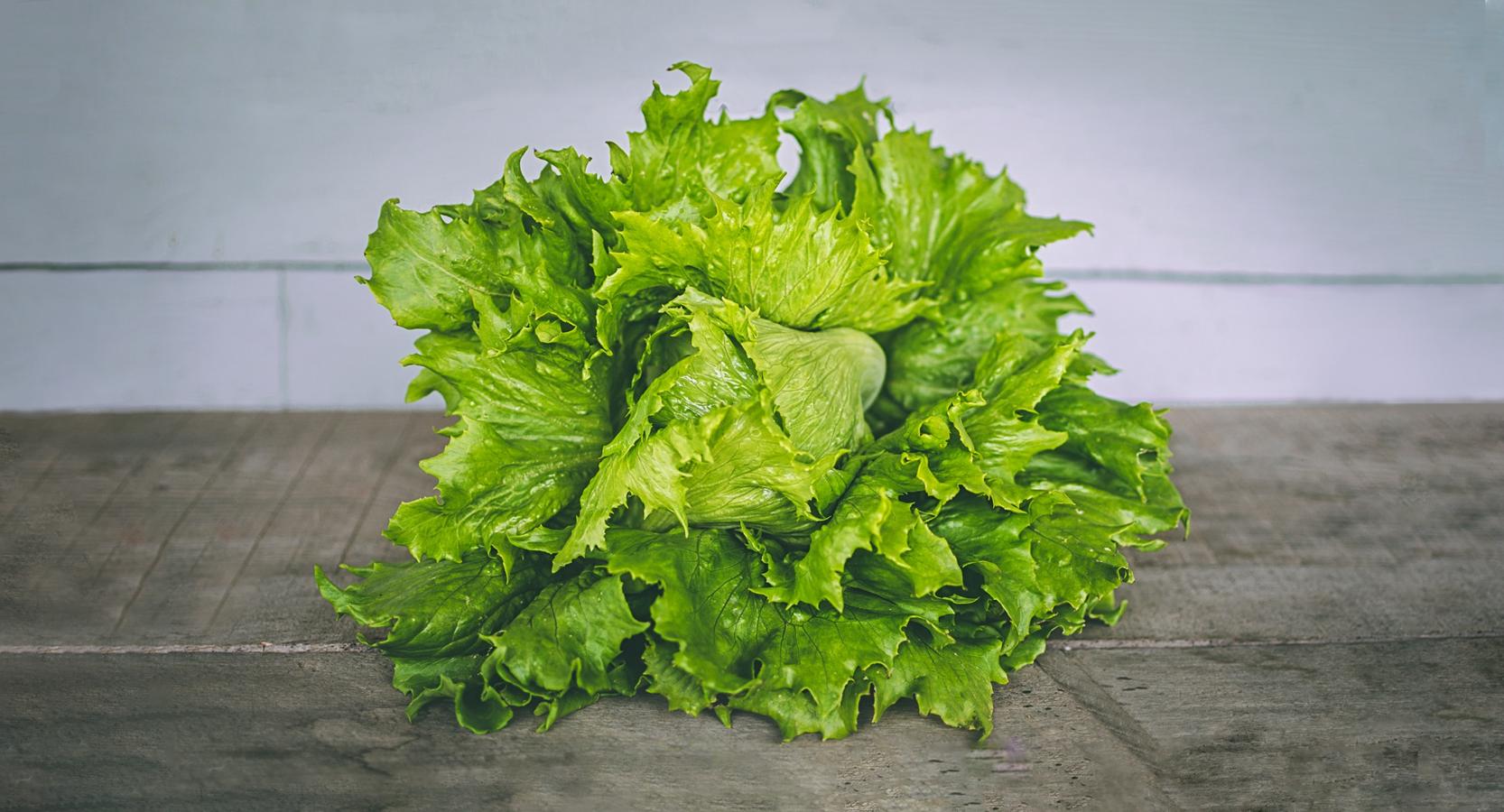 Lechuga. Por suerte, la lechuga puede disfrutarse todo el año, y se cultiva en todos los climas, por lo que es un producto natural recién cultivado. Los cuatro tipos de lechuga verde son muy beneficiosos para la salud al ser unas verduras que aportan importantes dosis de vitaminas, antioxidantes y nutrientes. A la hora de escoger este producto hay que fijarse en que las hojas, cuanto más oscuras, más nutritivas son. Tiene bajo índice de calorías y un efecto saciante que sirve como dieta adelgazante.