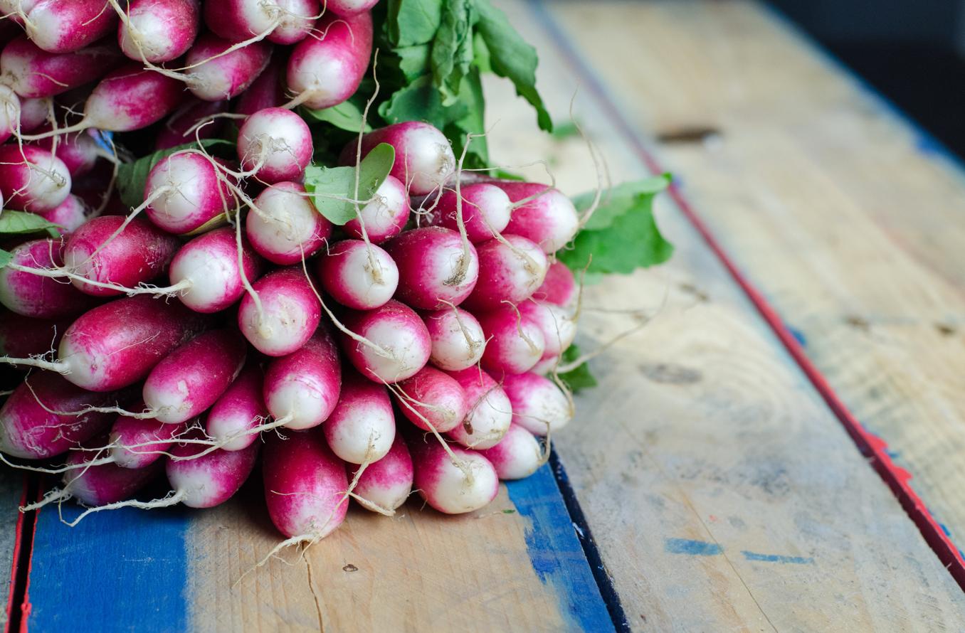 Rábano. Aunque podemos encontrar esta hortaliza prácticamente casi todo el año, los rábanos se cultivan principalmente al principio del verano y se extiende su cultivo en invernaderos. En algunos países orientales como Japón, el rábano es uno de los ingredientes principales de sus platos típicos. Gracias a su alto contenido de agua actúa como detractor de toxinas y son ideales para los catarros y congestiones: ablandan la mucosidad y favorecen la expectoración.