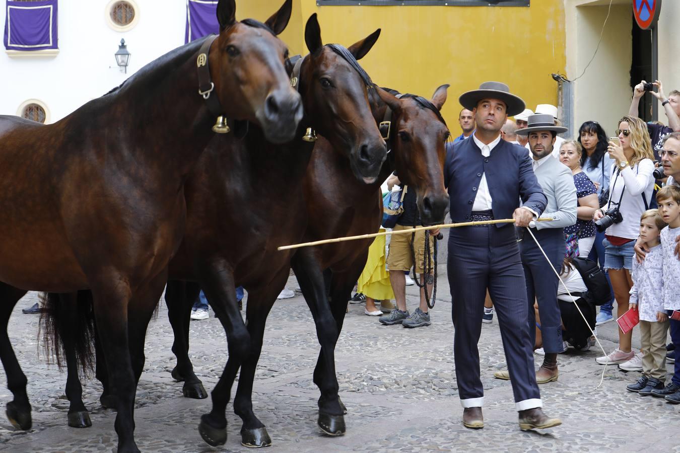 El ambiente del sábado en la Feria del Caballo «Cabalcor», en imágenes