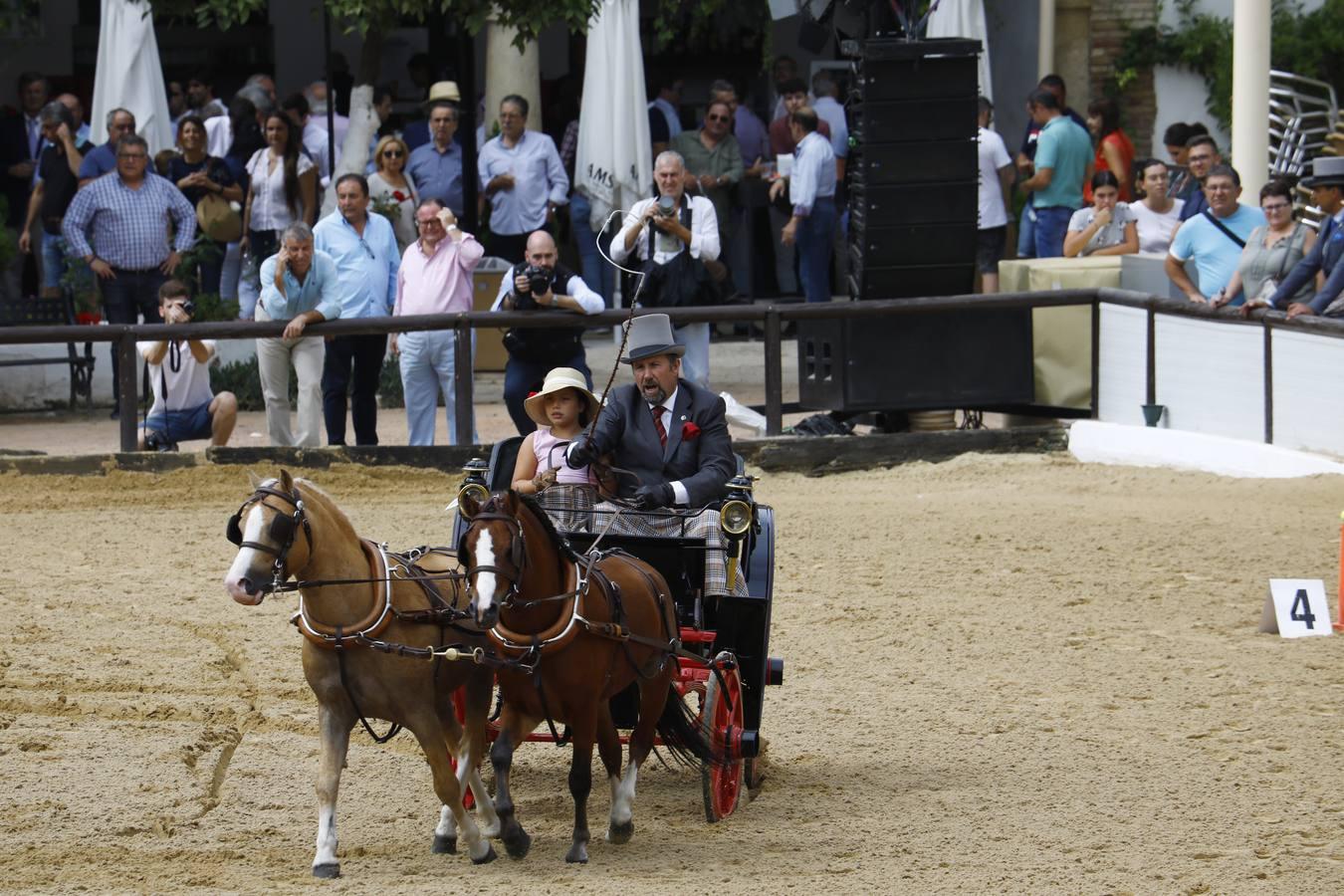 El ambiente del sábado en la Feria del Caballo «Cabalcor», en imágenes