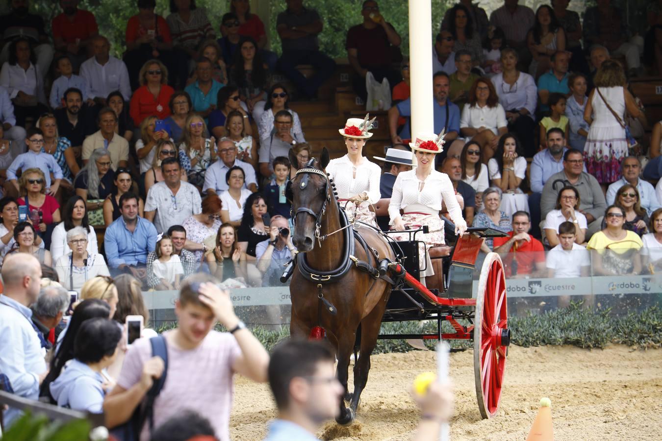 El ambiente del sábado en la Feria del Caballo «Cabalcor», en imágenes