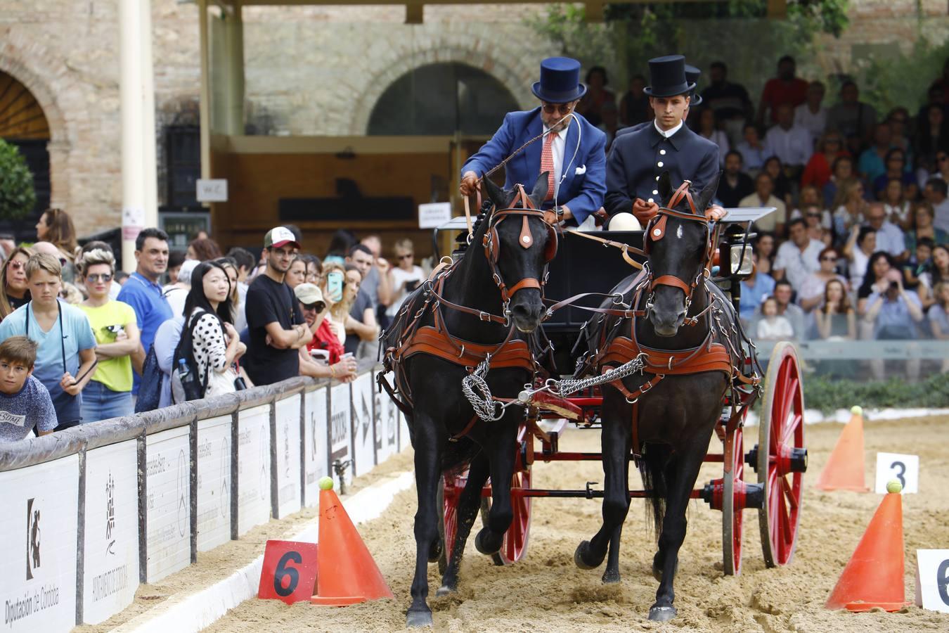 El ambiente del sábado en la Feria del Caballo «Cabalcor», en imágenes