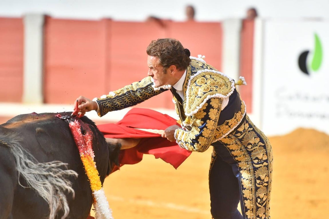 La Feria de las Mercedes de Pozoblanco, en imágenes