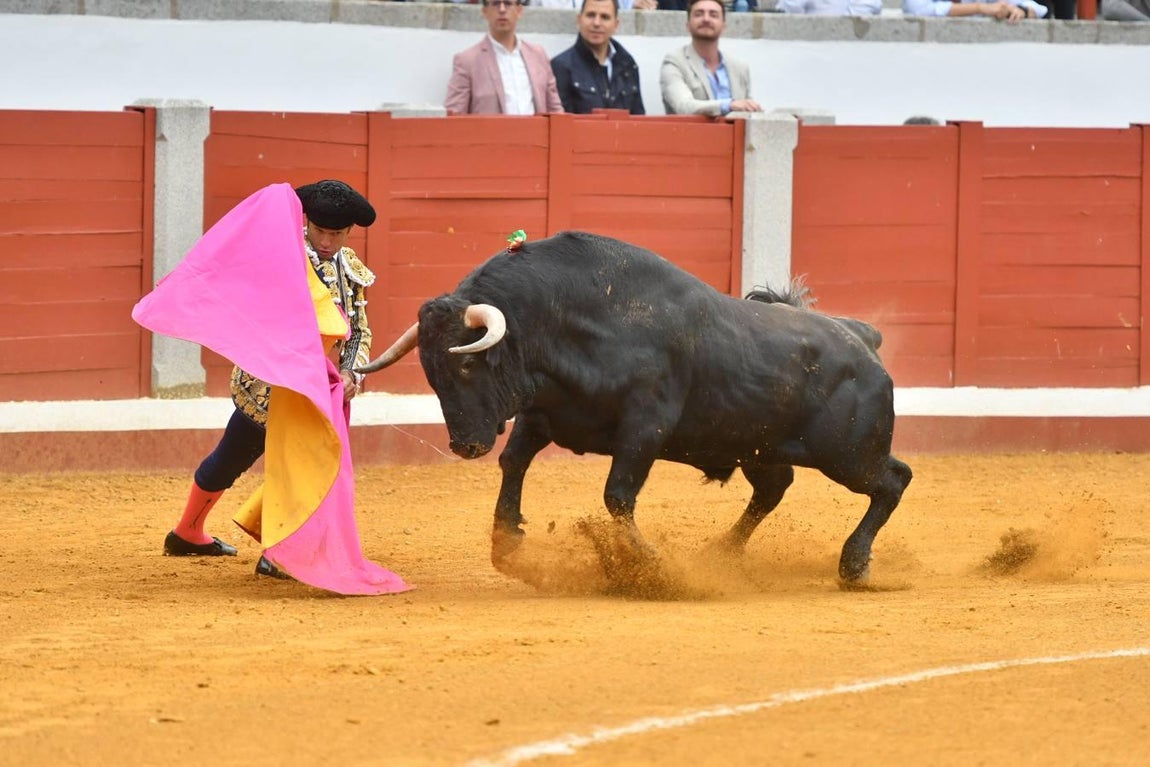 La Feria de las Mercedes de Pozoblanco, en imágenes