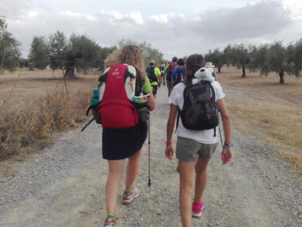 La peregrinación al Cristo de la Vera Cruz, en imágenes