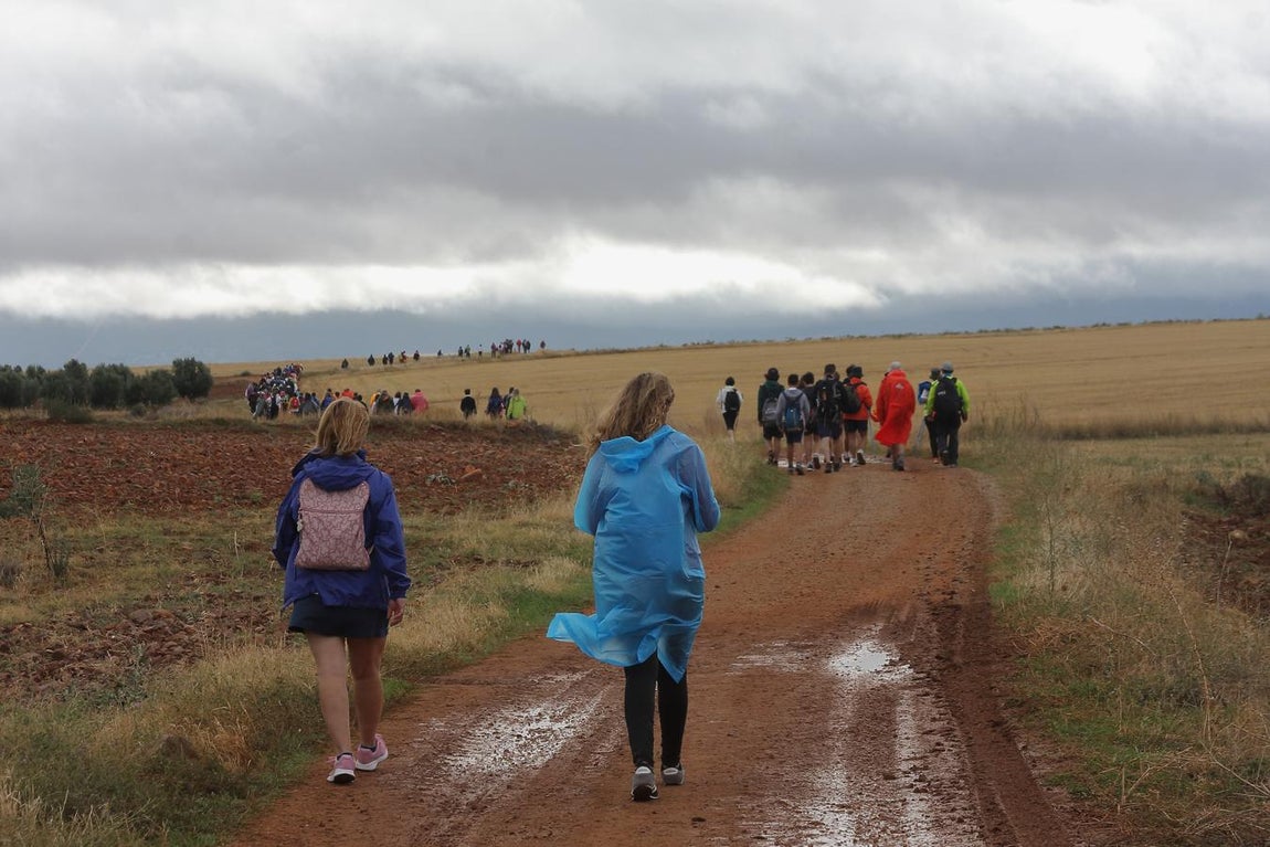 La peregrinación al Cristo de la Vera Cruz, en imágenes