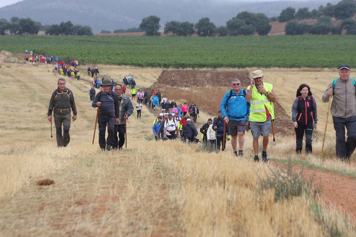 La peregrinación al Cristo de la Vera Cruz, en imágenes