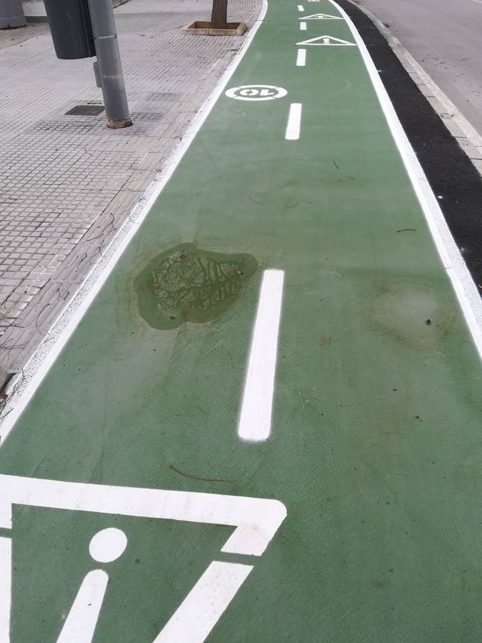 FOTOS: El carril bici de Cádiz, lleno de charcos